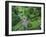 Blarney Castle, Ireland-Cindy Miller Hopkins-Framed Photographic Print