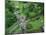 Blarney Castle, Ireland-Cindy Miller Hopkins-Mounted Photographic Print