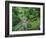 Blarney Castle, Ireland-Cindy Miller Hopkins-Framed Photographic Print