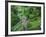 Blarney Castle, Ireland-Cindy Miller Hopkins-Framed Photographic Print