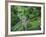 Blarney Castle, Ireland-Cindy Miller Hopkins-Framed Photographic Print