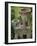 Blarney Castle, Ireland-Cindy Miller Hopkins-Framed Photographic Print