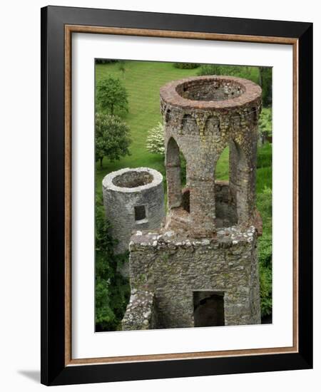 Blarney Castle, Ireland-Cindy Miller Hopkins-Framed Photographic Print