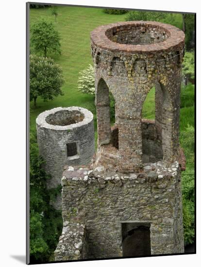 Blarney Castle, Ireland-Cindy Miller Hopkins-Mounted Photographic Print