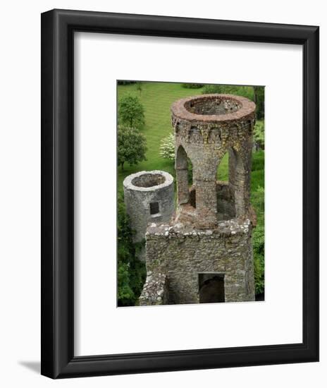 Blarney Castle, Ireland-Cindy Miller Hopkins-Framed Photographic Print