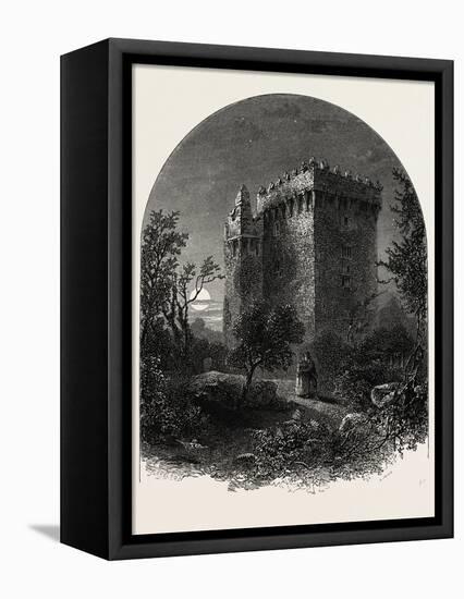 Blarney Castle, Ireland-null-Framed Premier Image Canvas