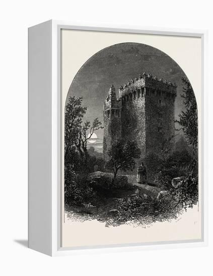 Blarney Castle, Ireland-null-Framed Premier Image Canvas