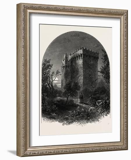 Blarney Castle, Ireland-null-Framed Giclee Print