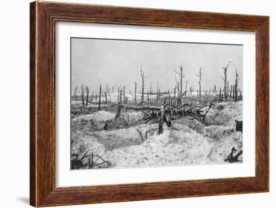 Blasted Tree Stumps, Mesnil, Champagne, France, World War I, 1915-null-Framed Giclee Print