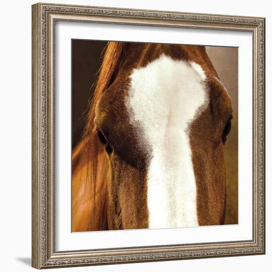 Blaze-Ray Hartl-Framed Giclee Print