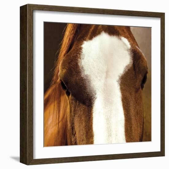 Blaze-Ray Hartl-Framed Giclee Print