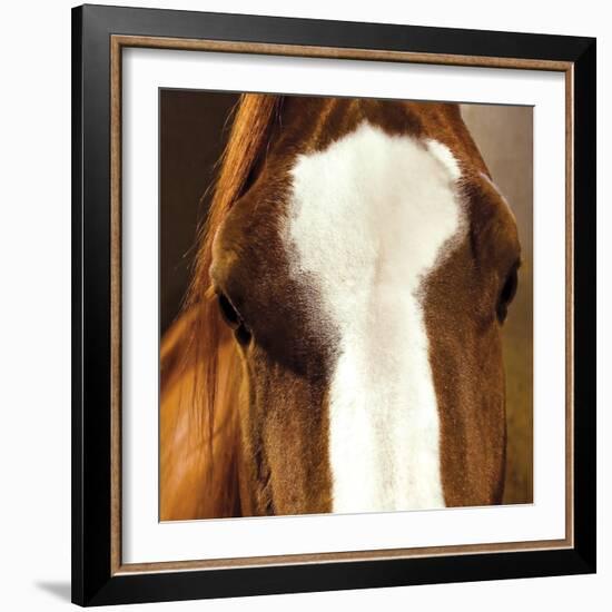 Blaze-Ray Hartl-Framed Giclee Print