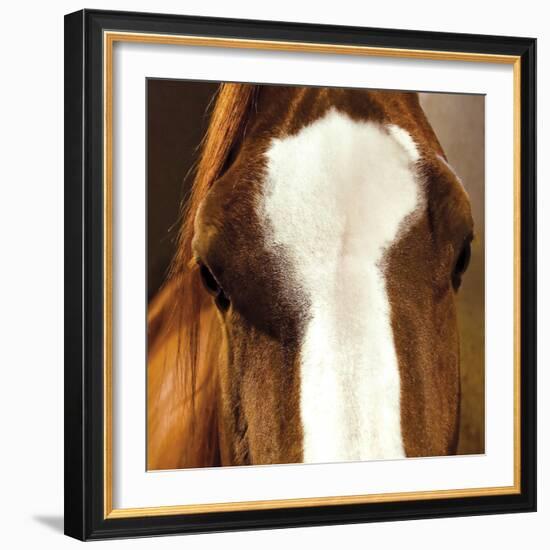 Blaze-Ray Hartl-Framed Giclee Print