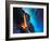 Blazing Fires-Thomas Leung-Framed Giclee Print