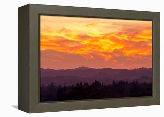 Blazing Sunset-Lance Kuehne-Framed Premier Image Canvas