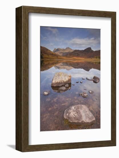 Blea Tarn and the Langdale Pikes in the Lake District National Park, Cumbria, England, UK-Julian Elliott-Framed Photographic Print