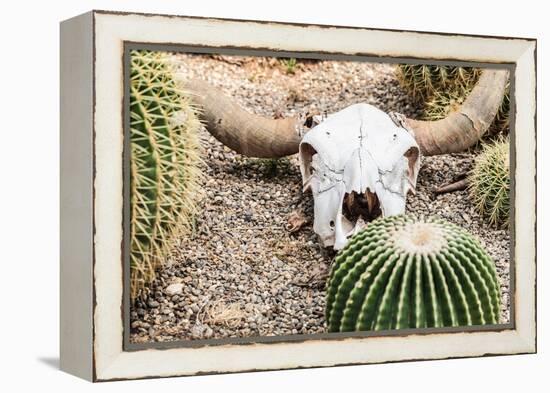 Bleached Skull-Dario Lo Presti-Framed Premier Image Canvas