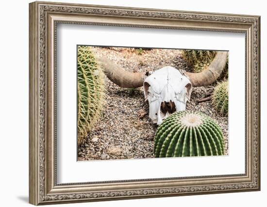 Bleached Skull-Dario Lo Presti-Framed Photographic Print