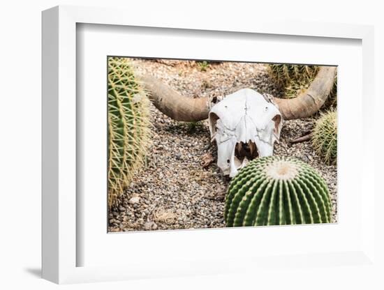 Bleached Skull-Dario Lo Presti-Framed Photographic Print