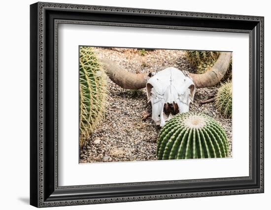 Bleached Skull-Dario Lo Presti-Framed Photographic Print