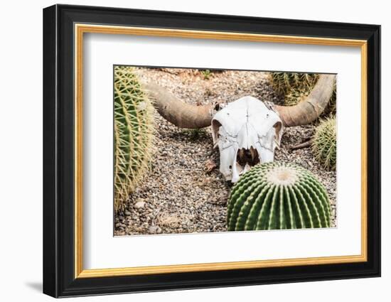 Bleached Skull-Dario Lo Presti-Framed Photographic Print