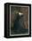 Bleak House by Charles Dickens-Frederick Barnard-Framed Premier Image Canvas