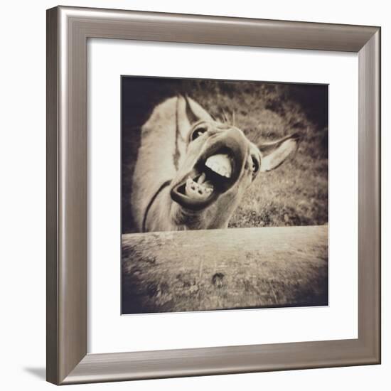 Bleating  Goat-Theo Westenberger-Framed Photographic Print