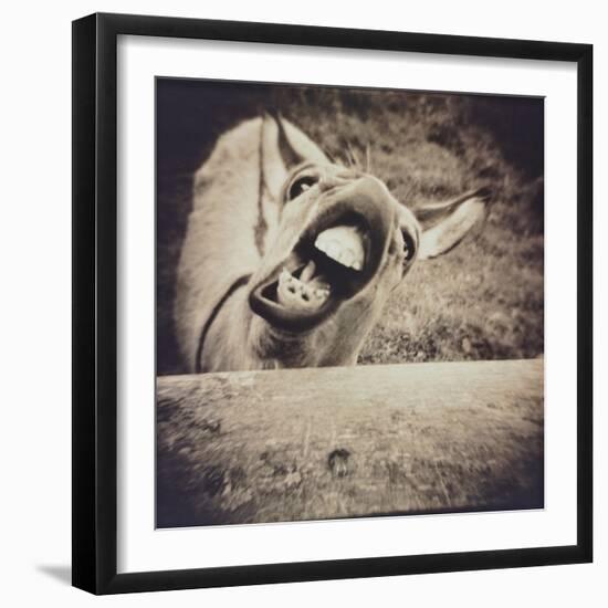 Bleating  Goat-Theo Westenberger-Framed Photographic Print