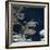 Bleeding Heart Tetra Captive, from Amazonia-Jane Burton-Framed Photographic Print