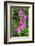 Bleeding Heart-Jim Engelbrecht-Framed Photographic Print