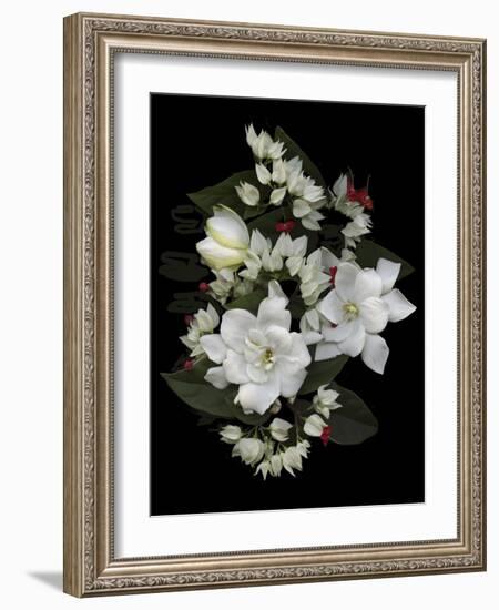 Bleeding Hearts and Gardenia-Susan S. Barmon-Framed Giclee Print