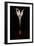 Bleeding Lily, 2013-Johan Lilja-Framed Giclee Print