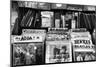 Bleeker Street Record Shop NYC-null-Mounted Photo