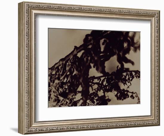 Blemish-Petr Strnad-Framed Photographic Print