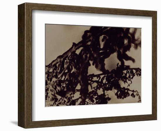 Blemish-Petr Strnad-Framed Photographic Print