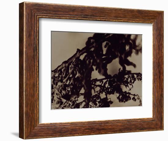 Blemish-Petr Strnad-Framed Photographic Print