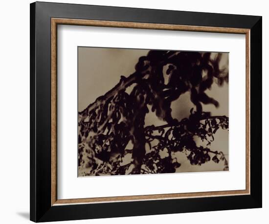 Blemish-Petr Strnad-Framed Photographic Print