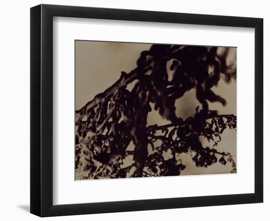 Blemish-Petr Strnad-Framed Photographic Print