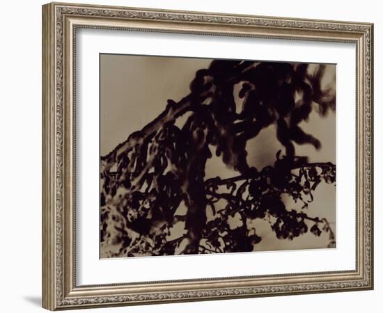 Blemish-Petr Strnad-Framed Photographic Print