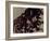 Blemish-Petr Strnad-Framed Photographic Print