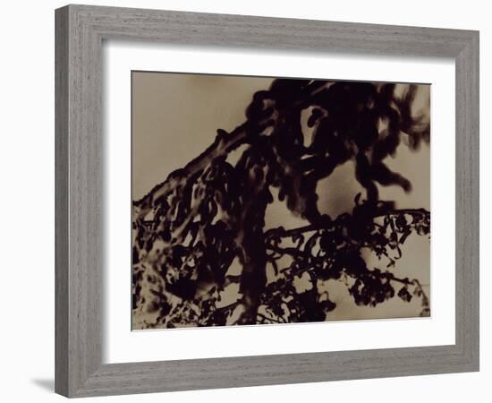 Blemish-Petr Strnad-Framed Photographic Print