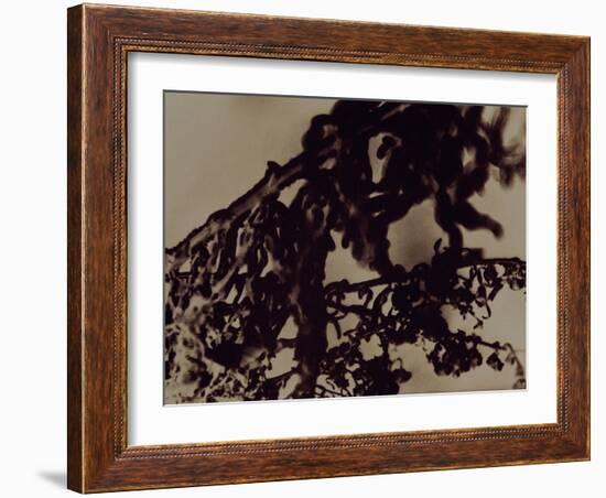 Blemish-Petr Strnad-Framed Photographic Print