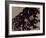 Blemish-Petr Strnad-Framed Photographic Print