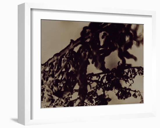 Blemish-Petr Strnad-Framed Photographic Print