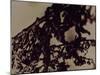 Blemish-Petr Strnad-Mounted Photographic Print