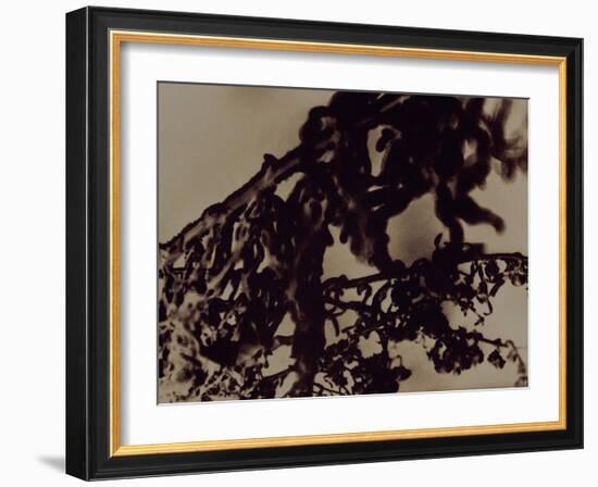 Blemish-Petr Strnad-Framed Photographic Print