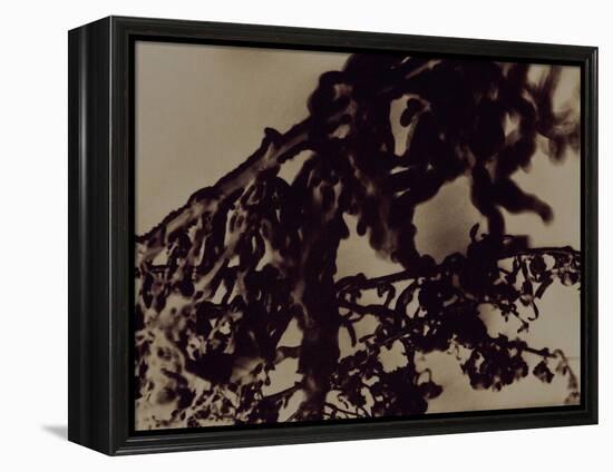 Blemish-Petr Strnad-Framed Premier Image Canvas