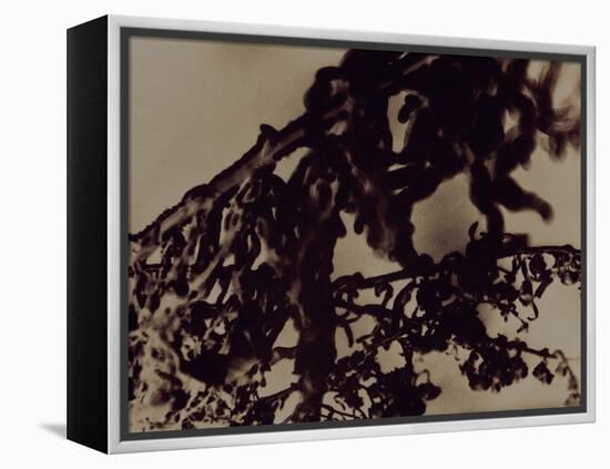 Blemish-Petr Strnad-Framed Premier Image Canvas