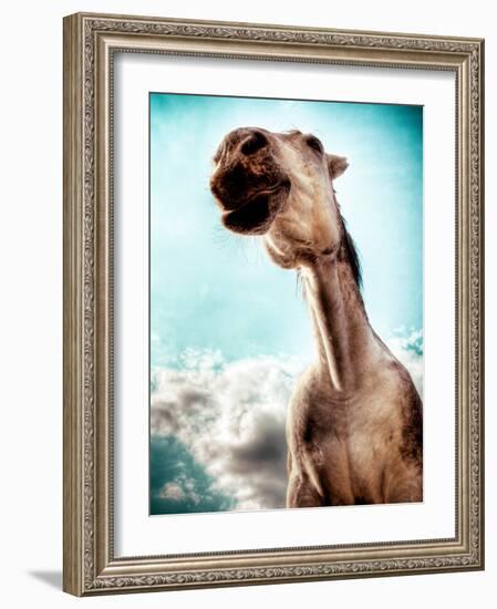 Blemsort-Stephen Arens-Framed Photographic Print