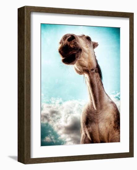 Blemsort-Stephen Arens-Framed Photographic Print